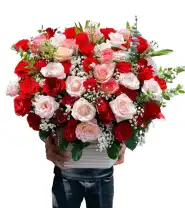 Giỏ Hoa Chúc Mừng Tone Đỏ Kem